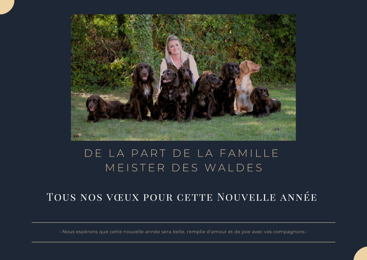 Joyeuses fêtes de fin d'année !